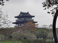 -海珠湖公园