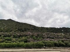 -汉中石门栈道风景区
