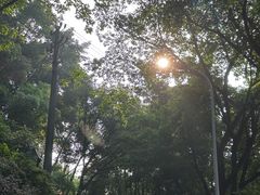 -重庆平顶山公园
