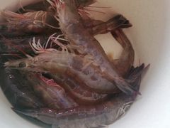 明虾-锅上蒸·特色蒸汽海鲜(龙洞店)