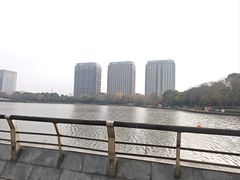 -南翔镇银翔湖公园