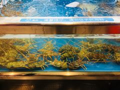 -盒马鲜生(大成店)