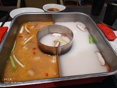 蒜香鮟鱇鱼锅-新辣道鱼火锅(摩尔城店)