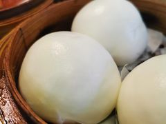 流沙奶黄包-添运来(茶园奥园广场店)