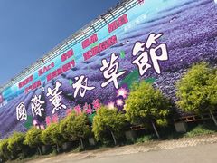-紫颐香薰山谷景区