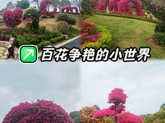 -东莞植物园