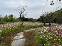 -上海杨姆庄园