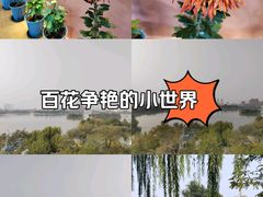 -天津水上公园