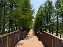 -双山岛