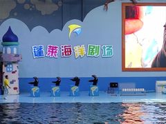 -蓬莱欧乐堡海洋极地世界