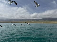-青海湖国家重点风景名胜区