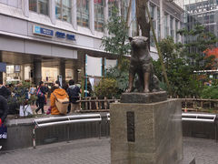 -涩谷区