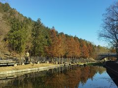 -白水寺森林公园