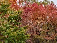 -长春市南湖公园