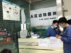 -半岛宠物医院24小时(科华中路店)