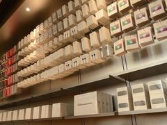 -Apple 零售店(Canton Road)
