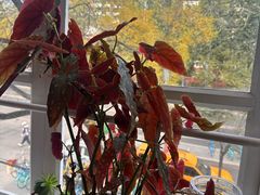 -雕刻时光咖啡馆(北师大店)