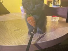 -解个谜沉浸剧情密室(天河店)