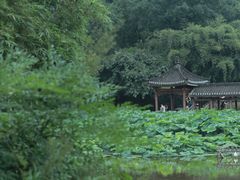 -龙头寺公园