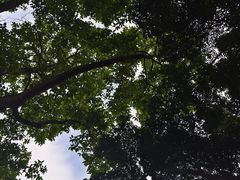 -雀儿山公园