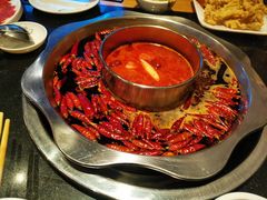 -董家湾重庆老火锅(嘉华店)