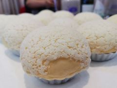 -欢乐海岸美食联盟