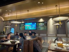 -佬肥猫(国华广场店)