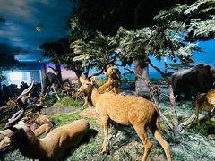 -国家自然博物馆