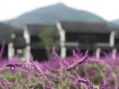 -东海半边山旅游度假区
