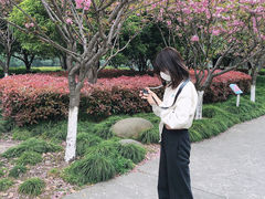 -高东镇樱花园