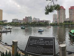 -文瀛公园