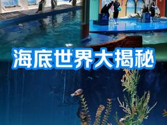 -重庆欢乐海底世界