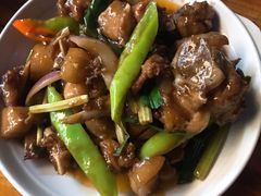 -琼海温泉鹅农家饭店