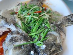 -众味海鲜大排档·活海鲜·潮汕味(南澳店)