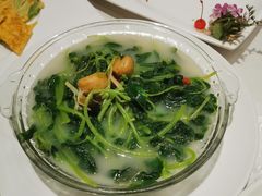 -京粤荟(海王银河科技大厦店)