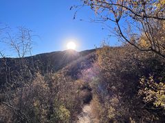 -北京西山国家森林公园