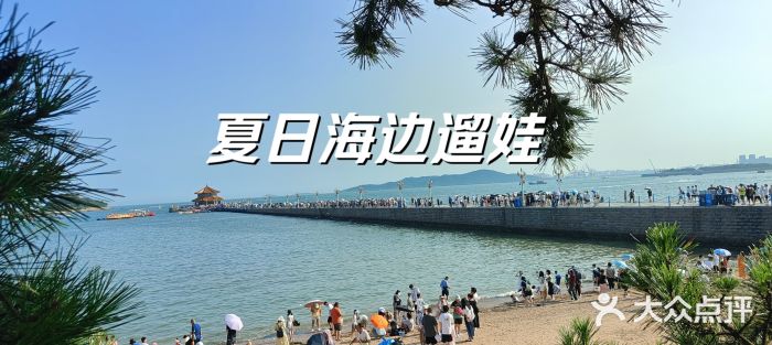 栈桥景区图片