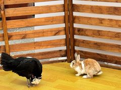 -长春农博园