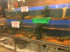 -真浪花园海鲜餐馆