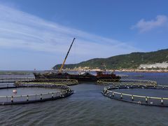 -南麂列岛