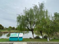 -九里河湿地公园
