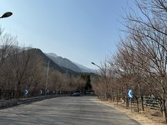 -阳台山自然风景区