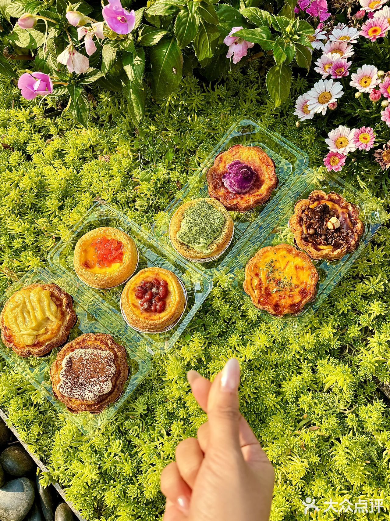 这家蛋挞！！！我过两天要把它带回老家