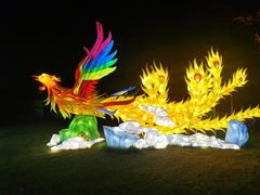 -昆山城市生态森林公园