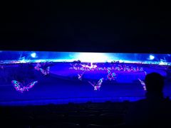 -鼎盛王朝康熙大典实景演出