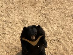 -石家庄市动物园