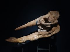 -湖南省地质博物馆