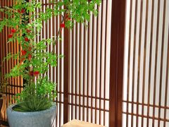 -康逸居·始于2002(海安店)