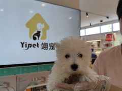 -翊宠yipet猫狗购宠庄园