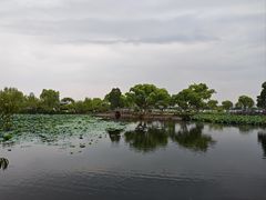 -无锡蠡湖国家湿地公园-蠡园